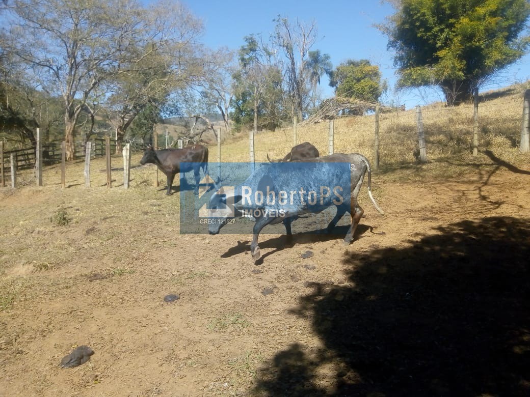 Excelente fazenda para pecuária em Cambuí - MG próxima ao Estado de São Paulo a 1 Km da Rodovia Fernão Dias