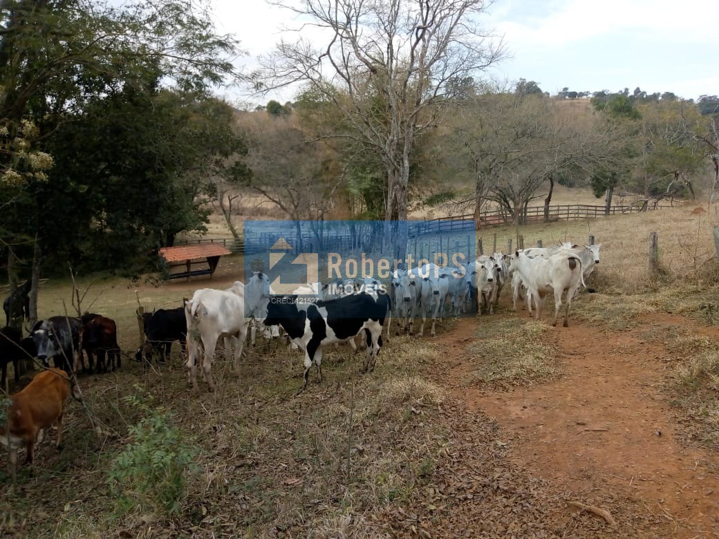 Excelente fazenda para pecuária em cambuí - mg próxima ao es