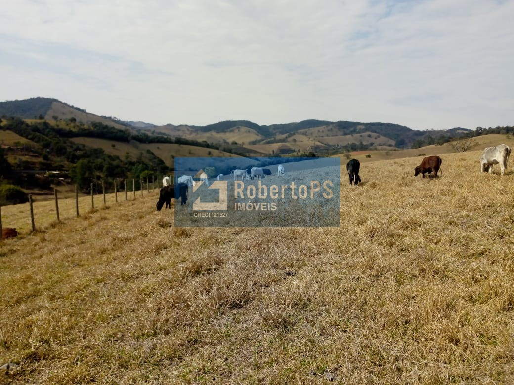 Excelente fazenda para pecuária em Cambuí - MG próxima ao Estado de São Paulo a 1 Km da Rodovia Fernão Dias