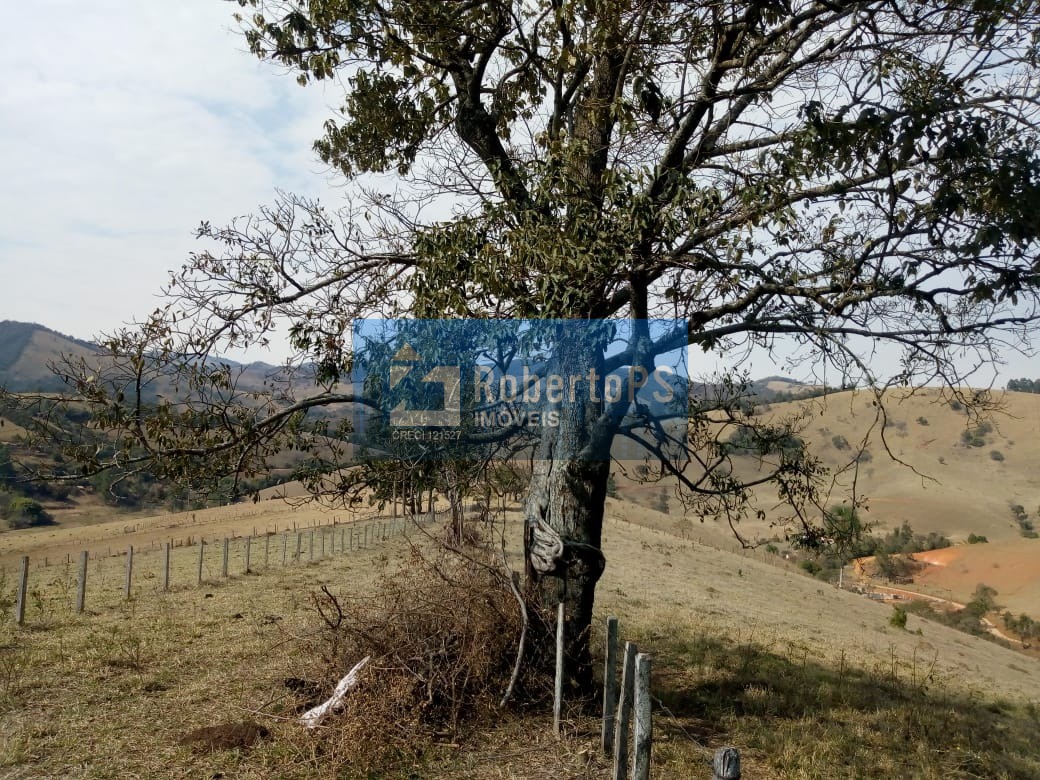 Excelente fazenda para pecuária em Cambuí - MG próxima ao Estado de São Paulo a 1 Km da Rodovia Fernão Dias