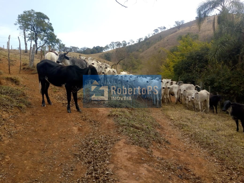 Excelente fazenda para pecuária em cambuí - mg próxima ao es