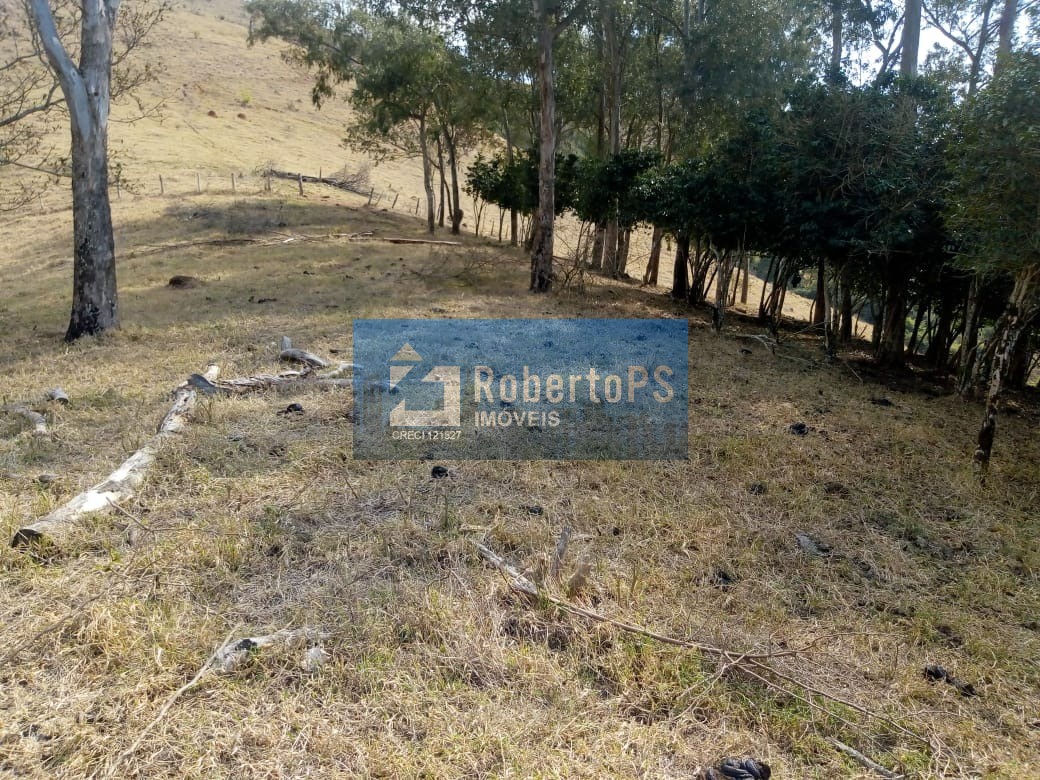 Excelente fazenda para pecuária em Cambuí - MG próxima ao Estado de São Paulo a 1 Km da Rodovia Fernão Dias