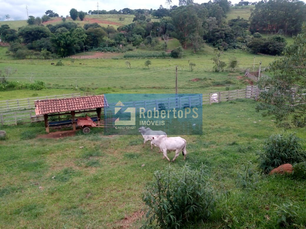 Excelente fazenda para pecuária em Cambuí - MG próxima ao Estado de São Paulo a 1 Km da Rodovia Fernão Dias