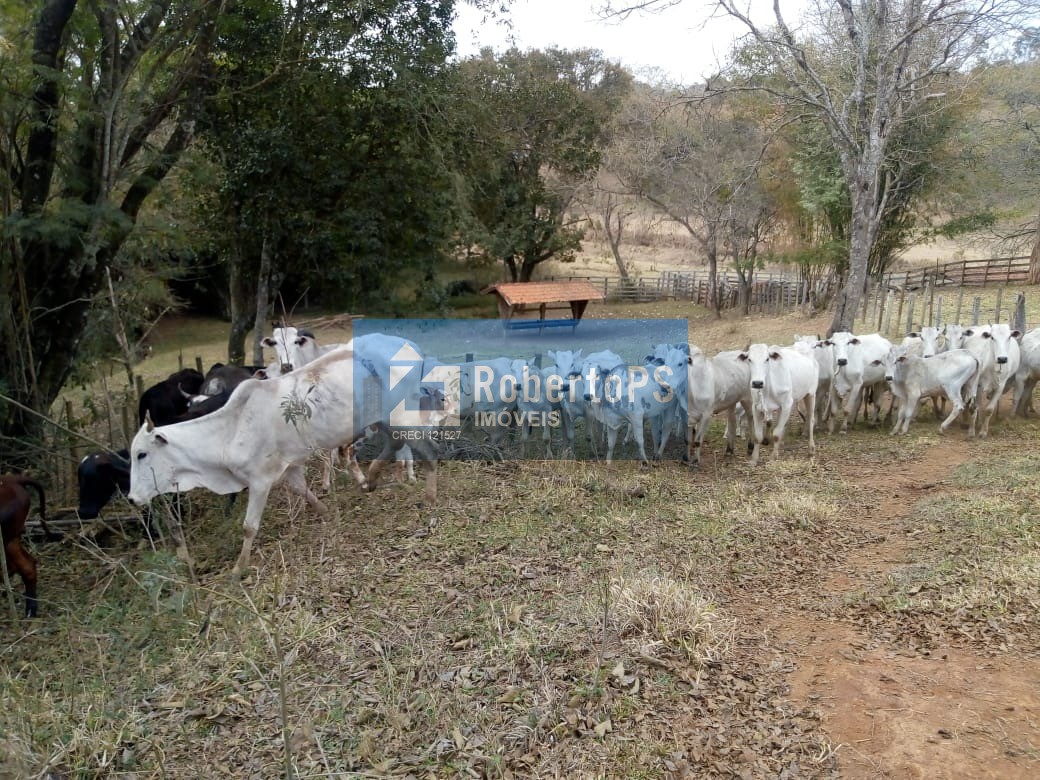 Excelente fazenda para pecuária em cambuí - mg próxima ao es