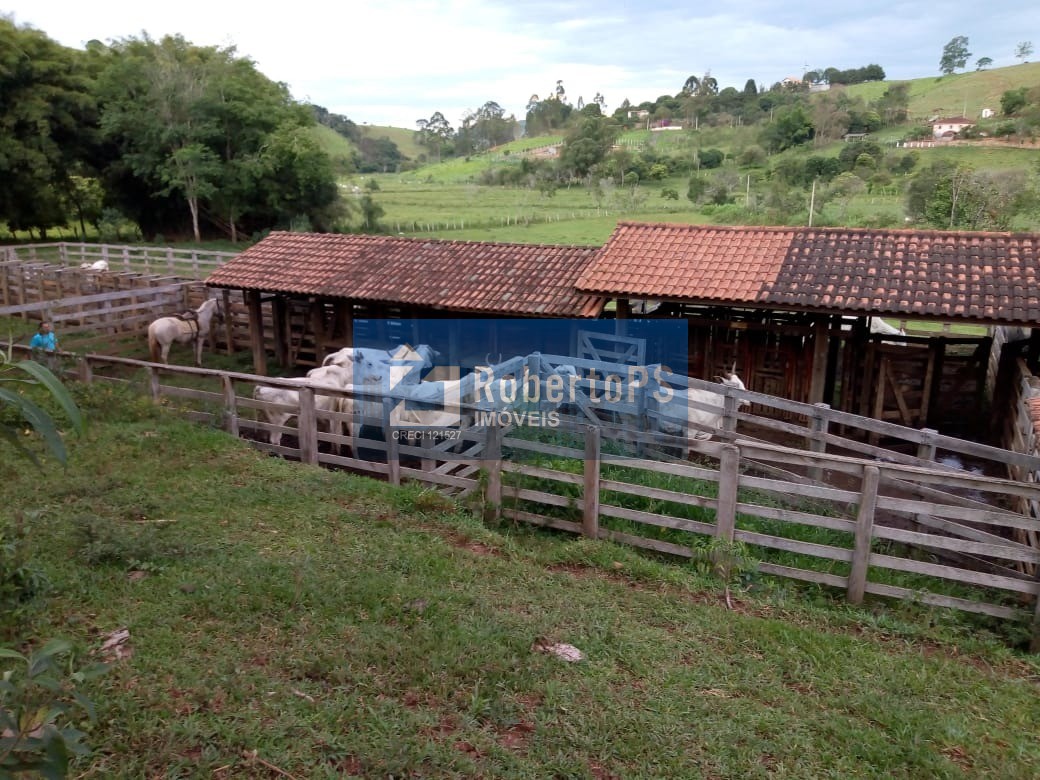 Excelente fazenda para pecuária em Cambuí - MG próxima ao Estado de São Paulo a 1 Km da Rodovia Fernão Dias