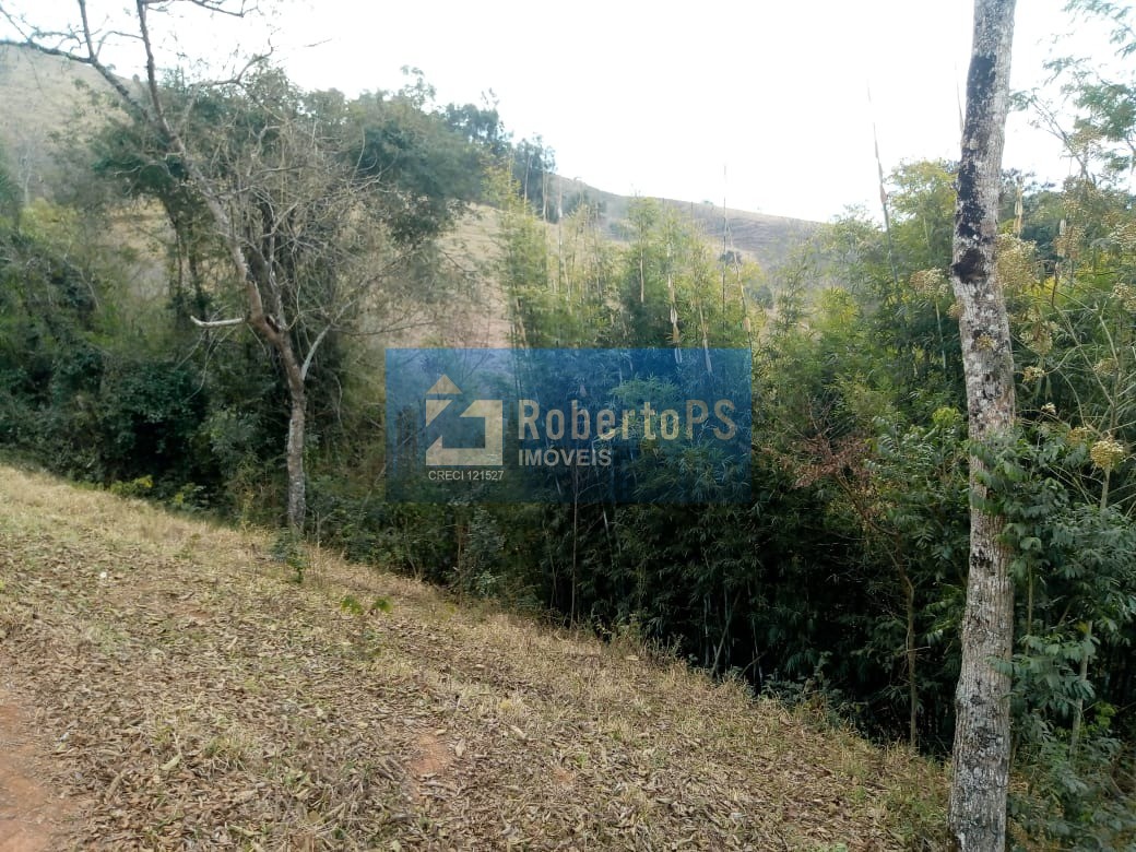 Excelente fazenda para pecuária em Cambuí - MG próxima ao Estado de São Paulo a 1 Km da Rodovia Fernão Dias