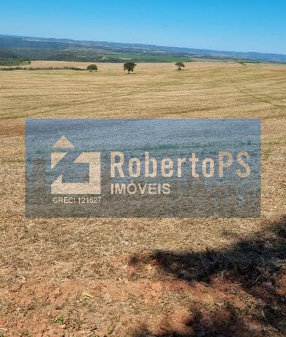 Fazenda à venda com 135 alqueires goiano