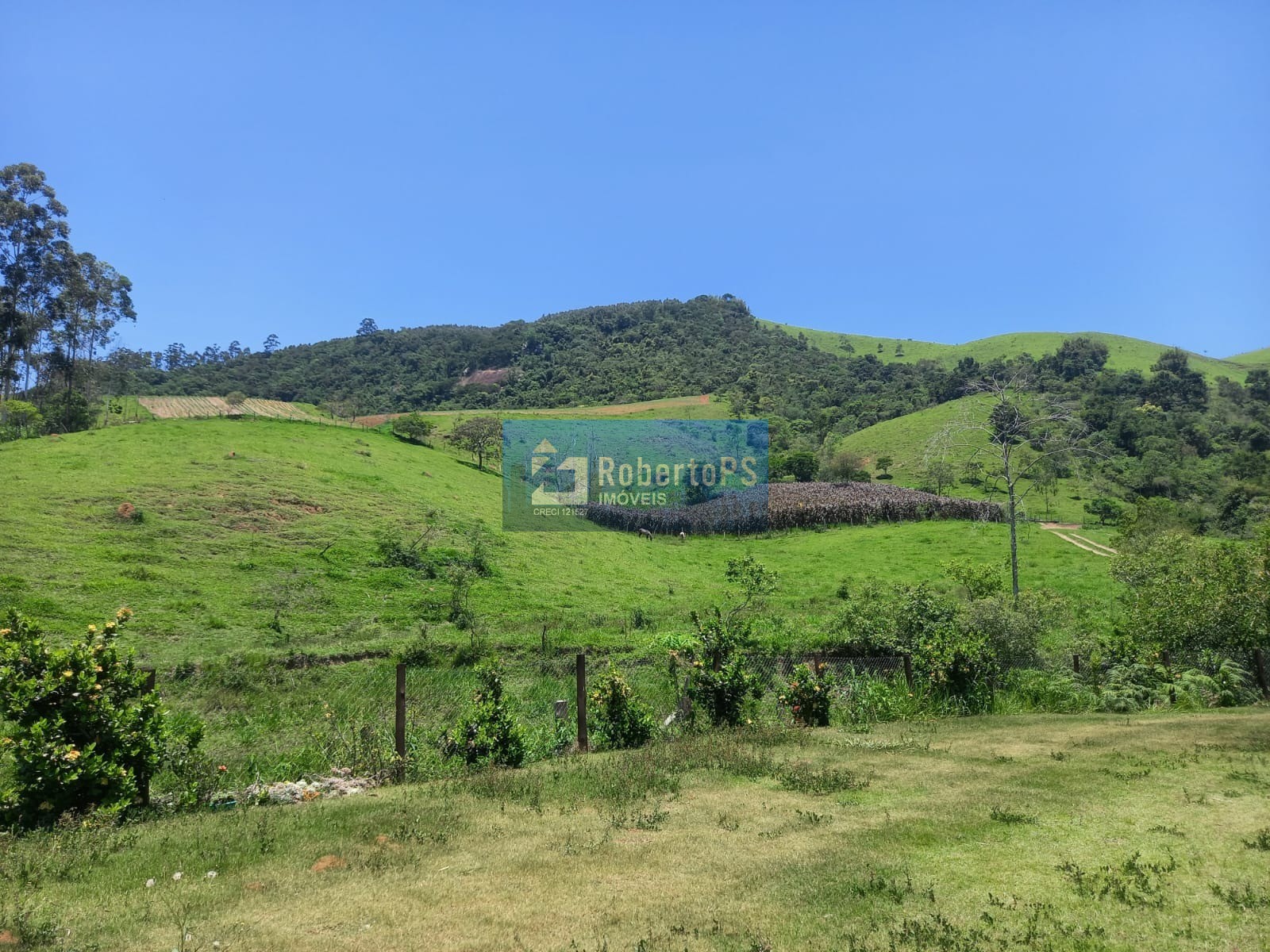 Sítio com 26 alqueires a venda em jambeiro