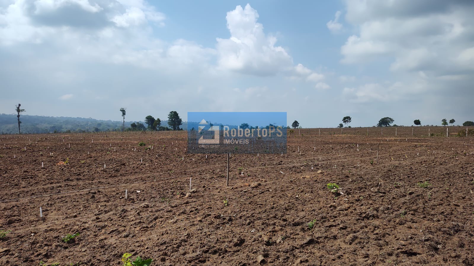 Fazenda à venda em cristalina-go: 3 quartos, 1 suíte, 2 banh