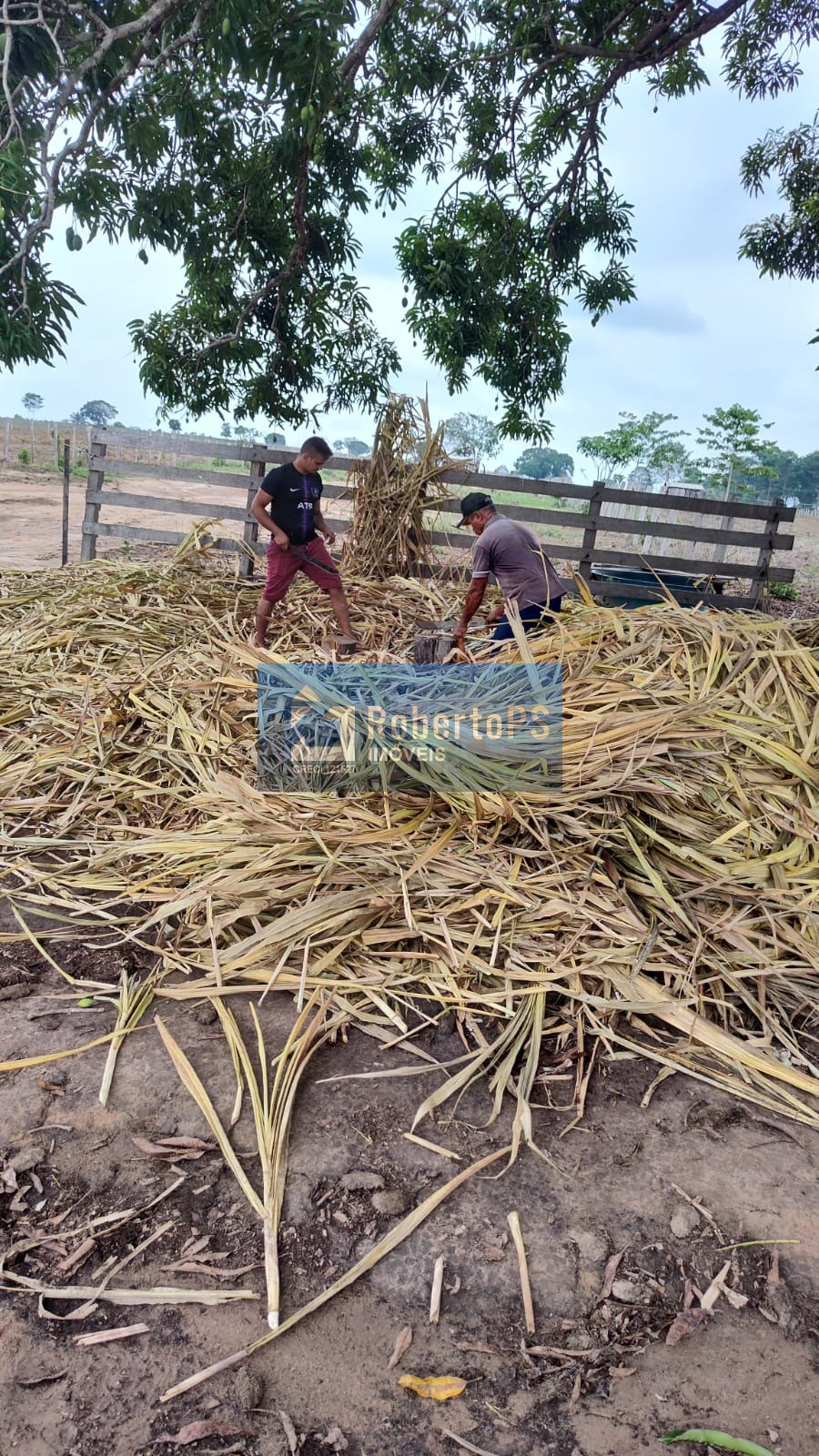 Fazenda à venda em cristalina-go: 3 quartos, 1 suíte, 2 banh