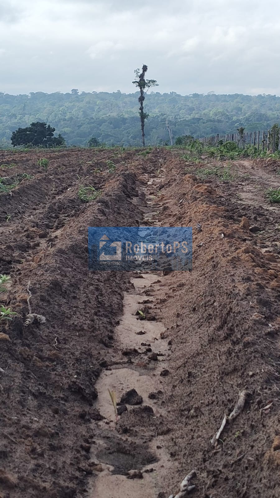 Fazenda à venda em cristalina-go: 3 quartos, 1 suíte, 2 banh