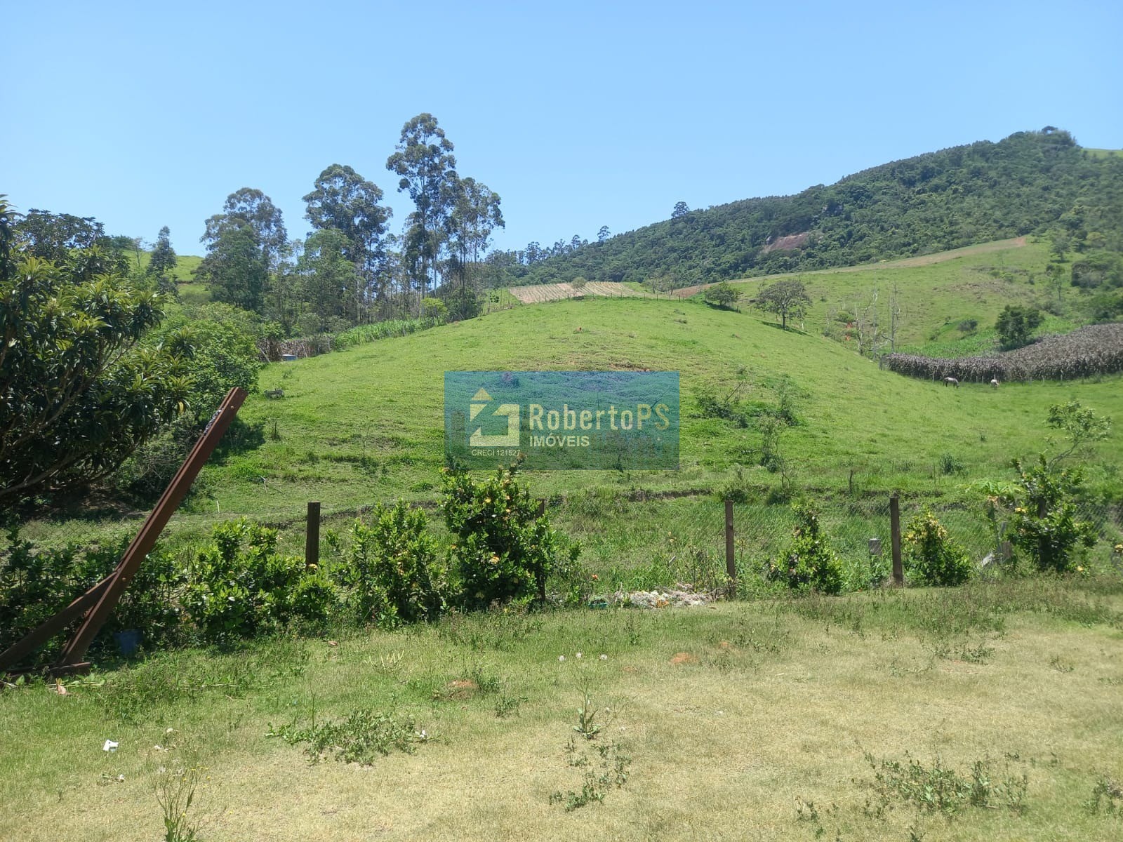 Sítio com 26 alqueires a venda em jambeiro