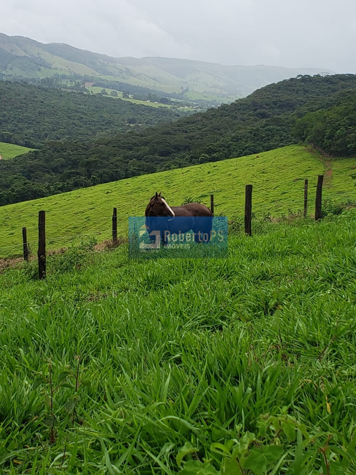 Fazenda de luxo à venda em capitólio-mg, centro: 3 quartos, 