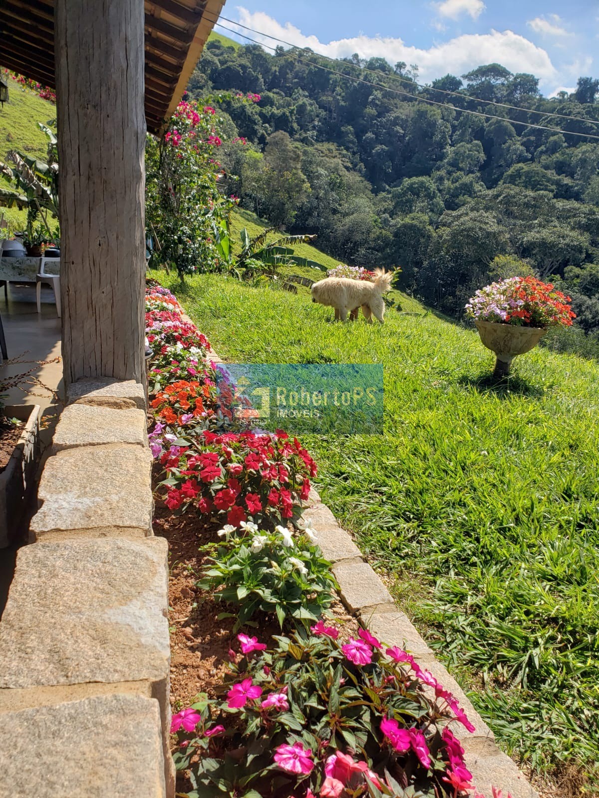 Fazenda de luxo à venda em capitólio-mg, centro: 3 quartos, 