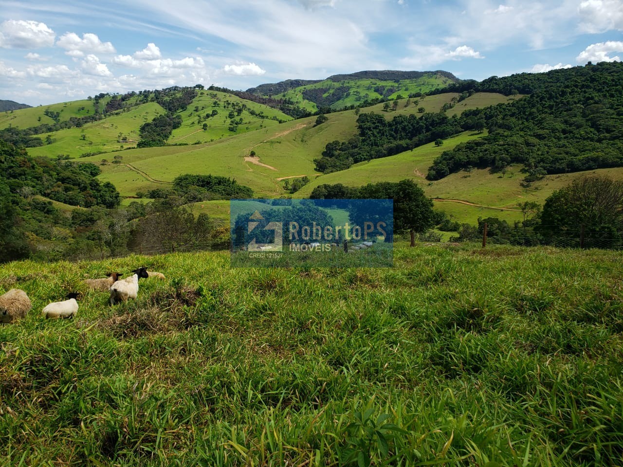 Fazenda de luxo à venda em capitólio-mg, centro: 3 quartos, 