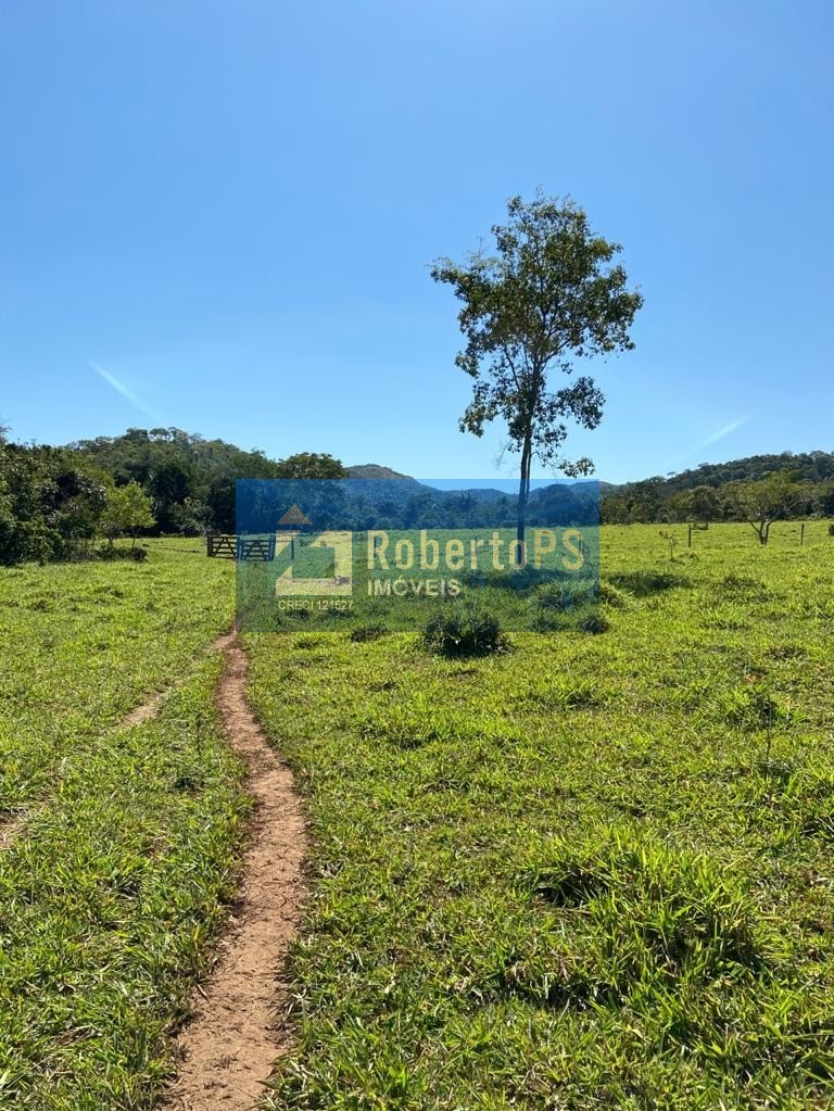 Fazenda de gado à venda na região de paracatu - mg com 212 h