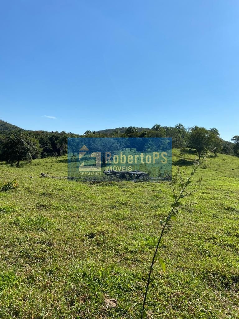 Fazenda de gado à venda na região de Paracatu - MG com 212 hectares