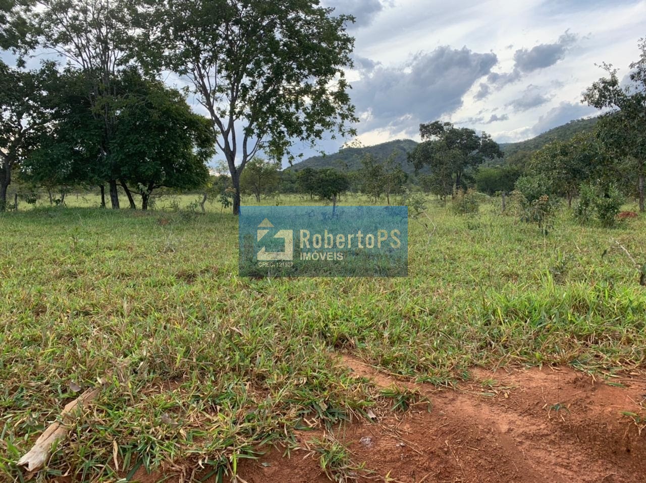 Fazenda de gado à venda na região de paracatu - mg com 212 h