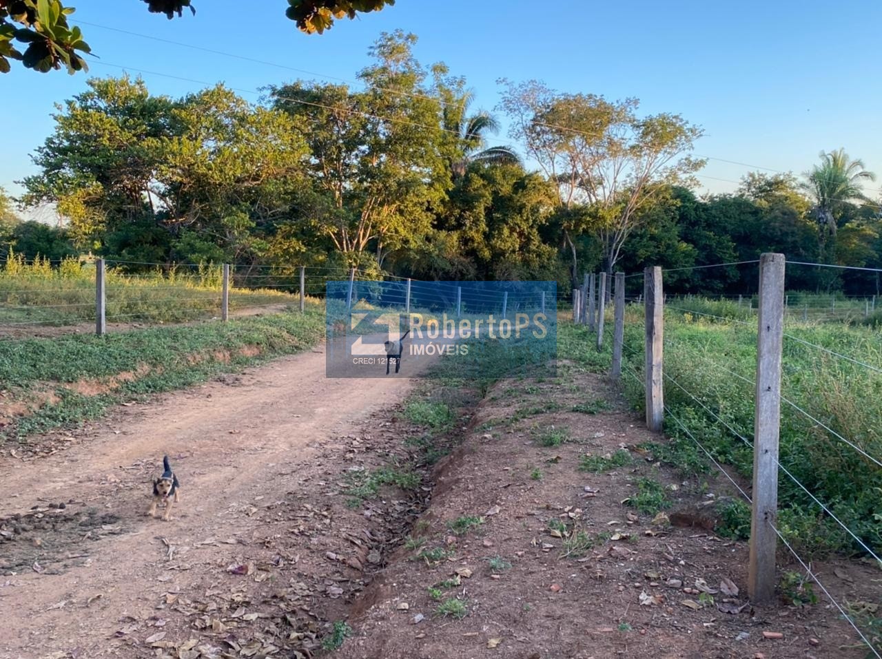 Fazenda de gado à venda na região de paracatu - mg com 212 h