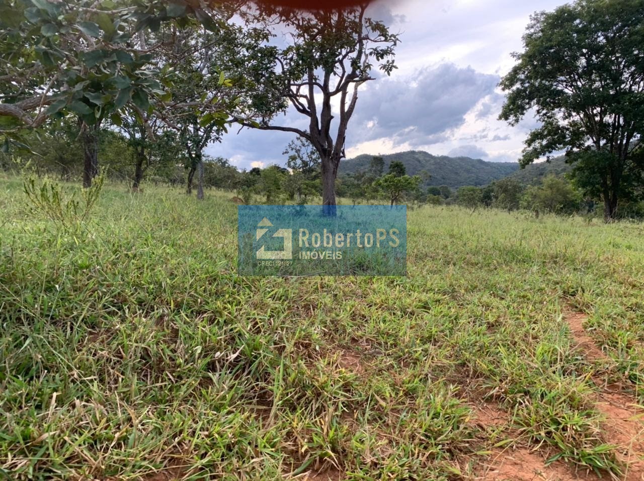 Fazenda de gado à venda na região de Paracatu - MG com 212 hectares