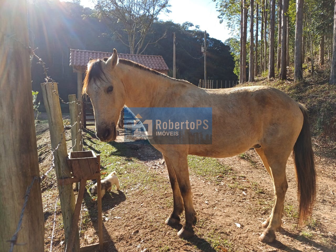 Sítio à venda em Paraibuna-SP com 60.000m2 em local de grande sossego e segurança