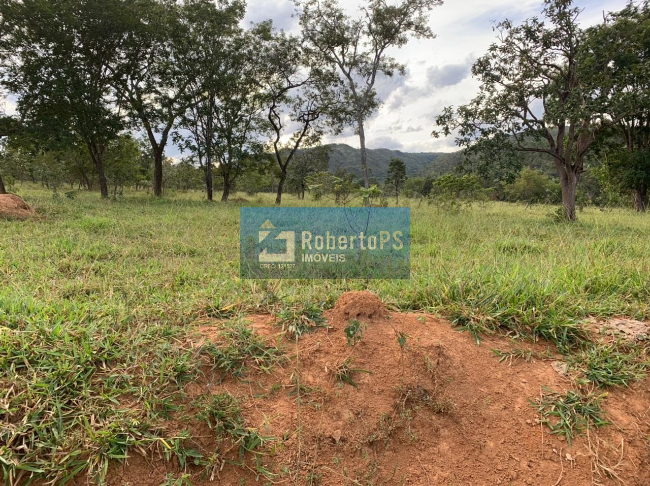 Fazenda de gado à venda na região de paracatu - mg com 212 h