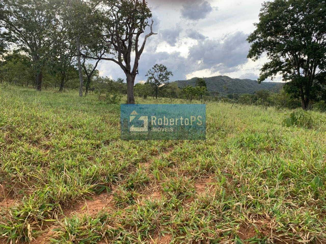 Fazenda de gado à venda na região de paracatu - mg com 212 h
