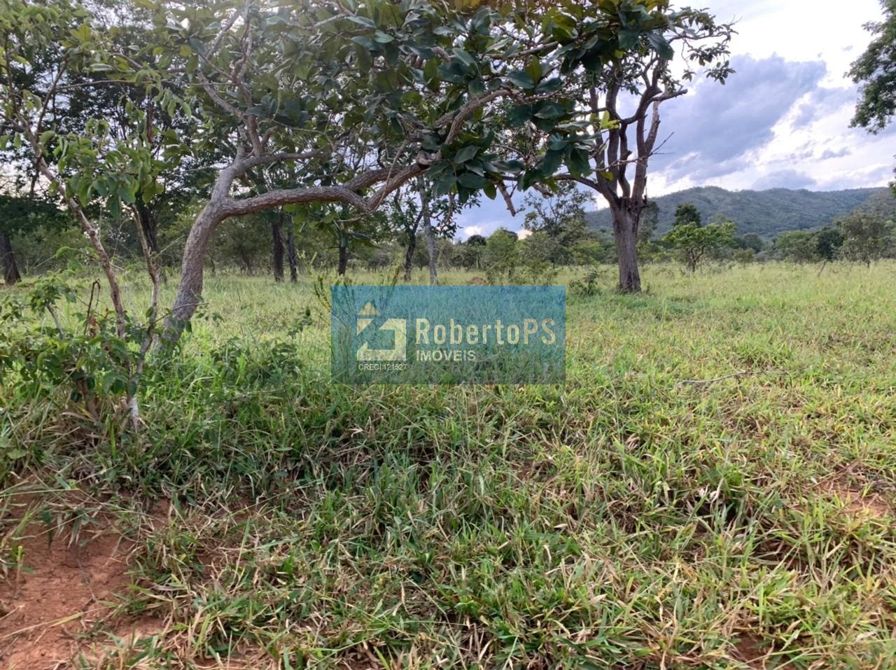 Fazenda de gado à venda na região de Paracatu - MG com 212 hectares