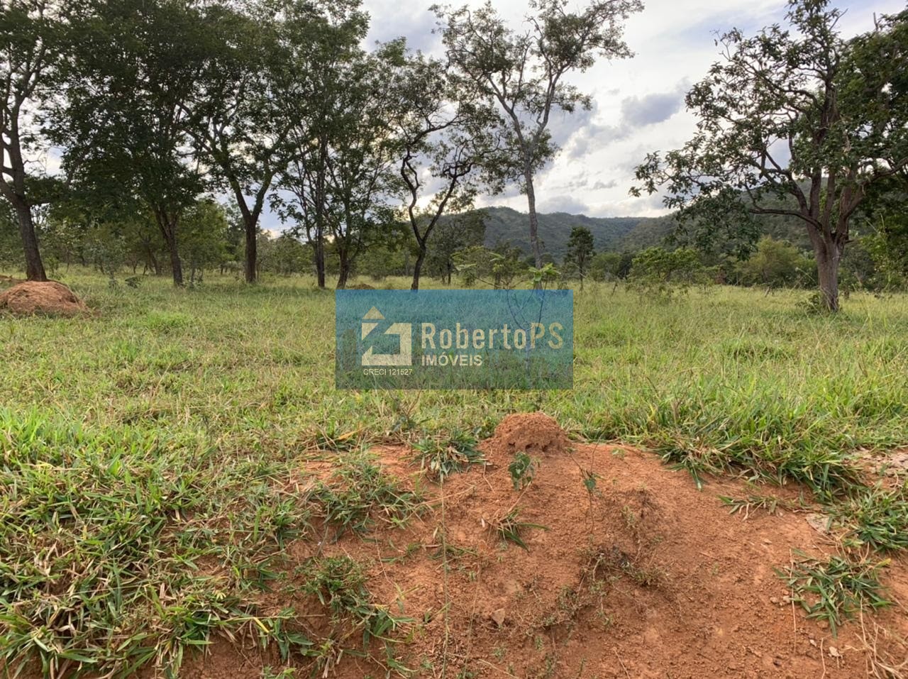 Fazenda de gado à venda na região de paracatu - mg com 212 h