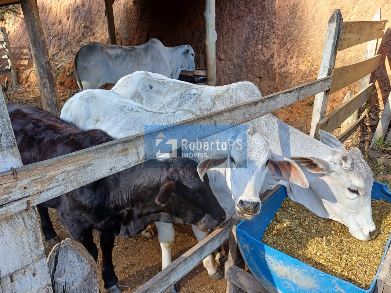 Sítio à venda em Paraibuna-SP com 60.000m2 em local de grande sossego e segurança