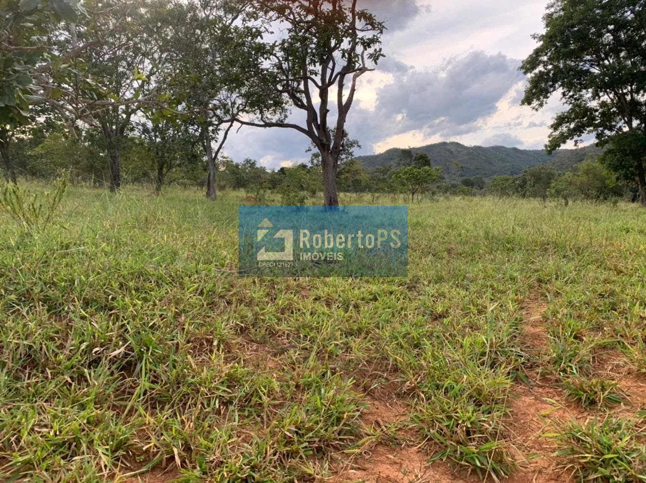 Fazenda de gado à venda na região de paracatu - mg com 212 h