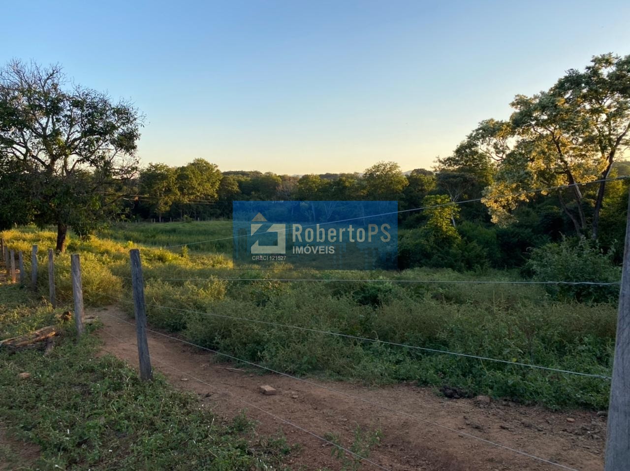 Fazenda de gado à venda na região de Paracatu - MG com 212 hectares
