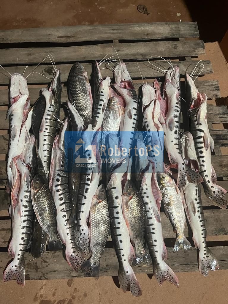 Fazenda de luxo à venda em general carneiro-mt: 4 quartos, 3
