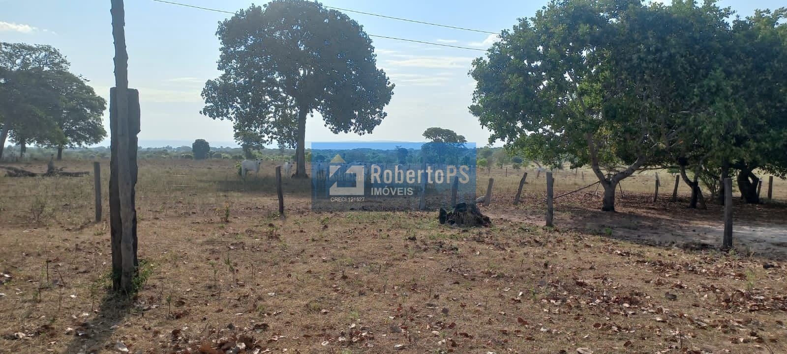 Maravilhosa fazenda à venda em barra do garça - mt!