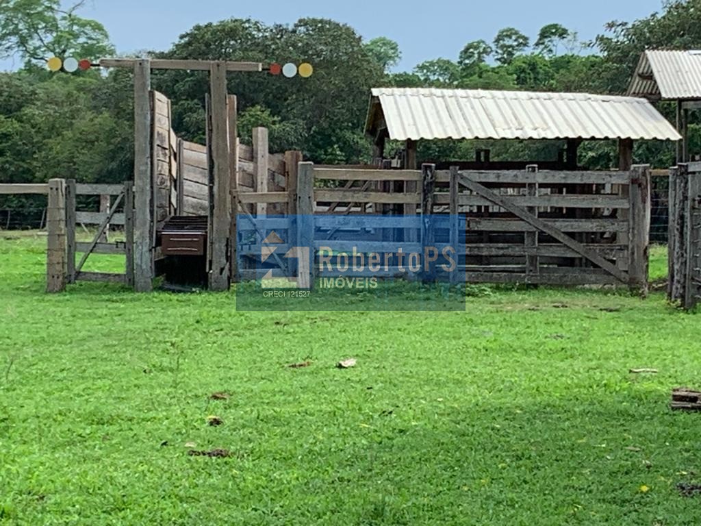 Maravilhosa fazenda à venda na região do piaba!