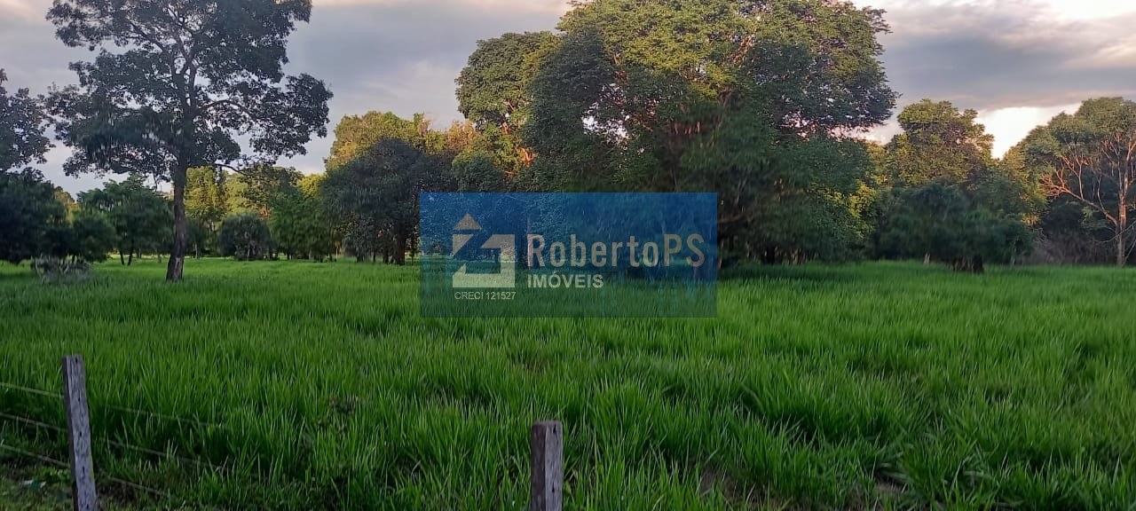 Maravilhosa Fazenda à venda na região do Piaba! - foto 20