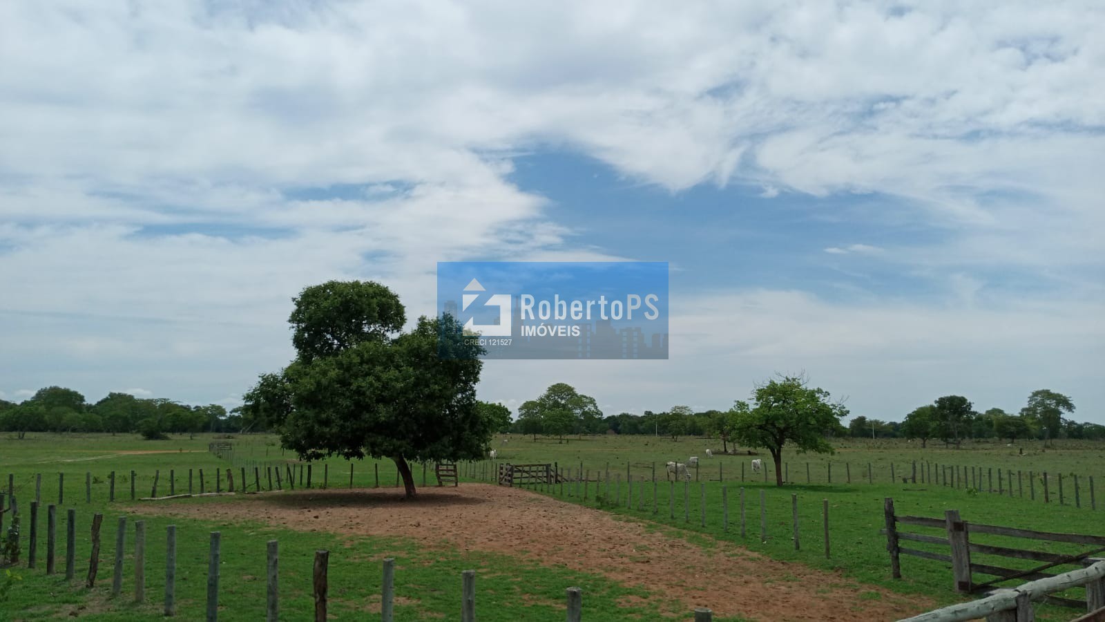 Fazenda de luxo à venda em cocalinho-mt, bairro centro: 3 qu