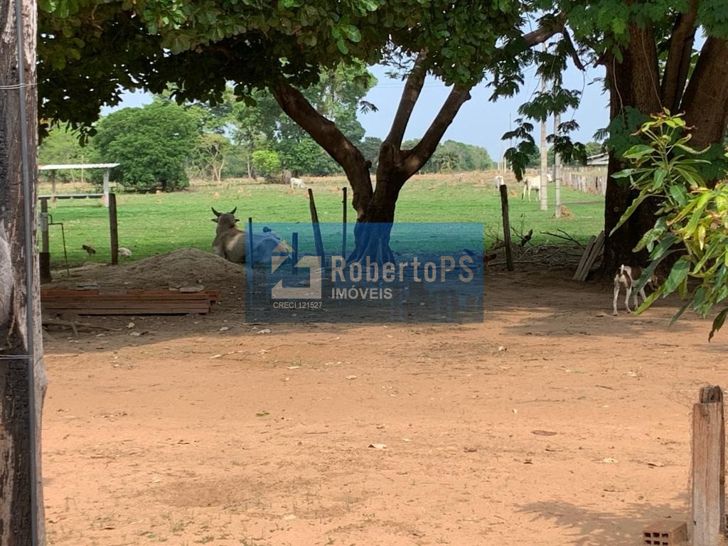 Maravilhosa Fazenda à venda na região do Piaba! - foto 18