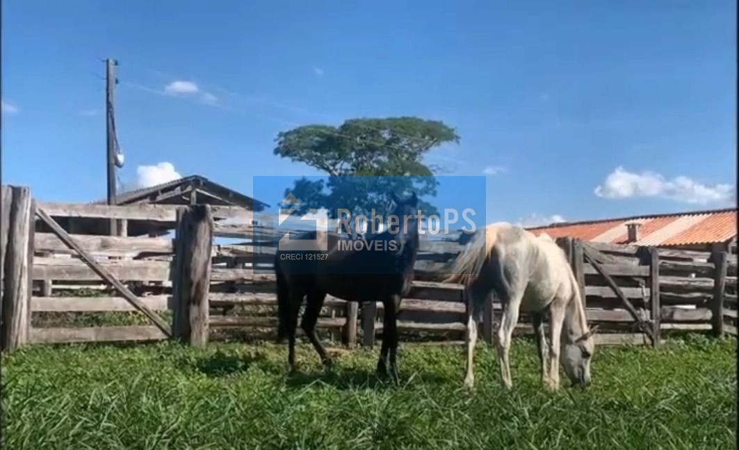 Fazenda de luxo à venda em general carneiro-mt: 4 quartos, 3