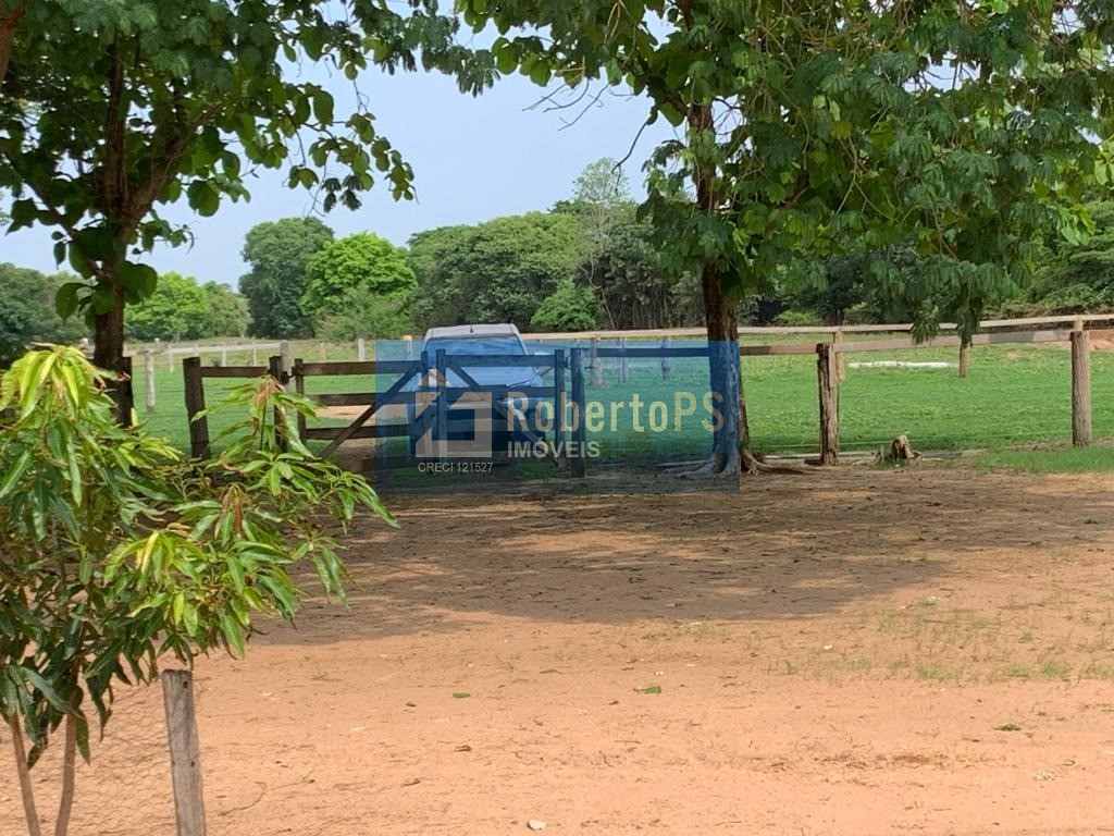 Maravilhosa fazenda à venda na região do piaba!