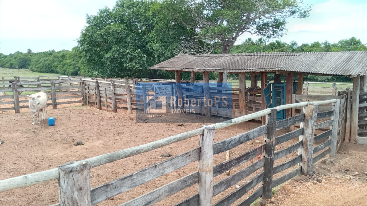 Fazenda de luxo à venda em cocalinho-mt, bairro centro: 3 qu