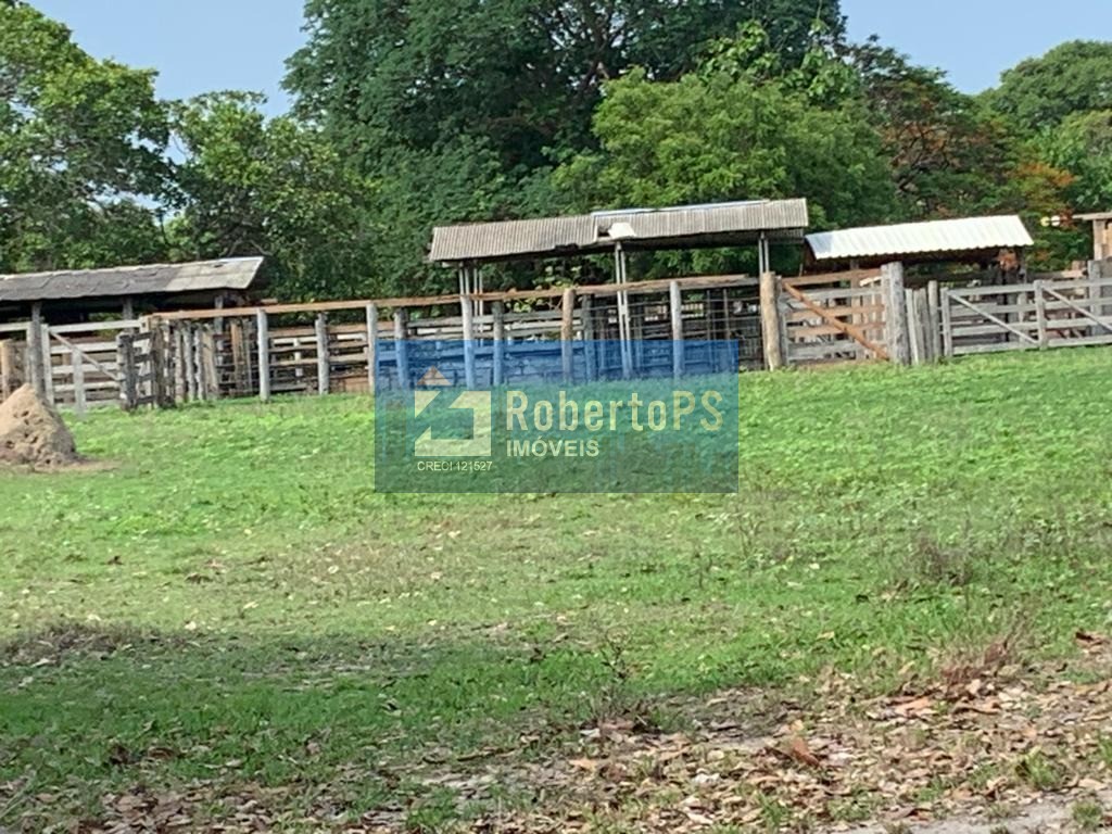 Maravilhosa fazenda à venda na região do piaba!