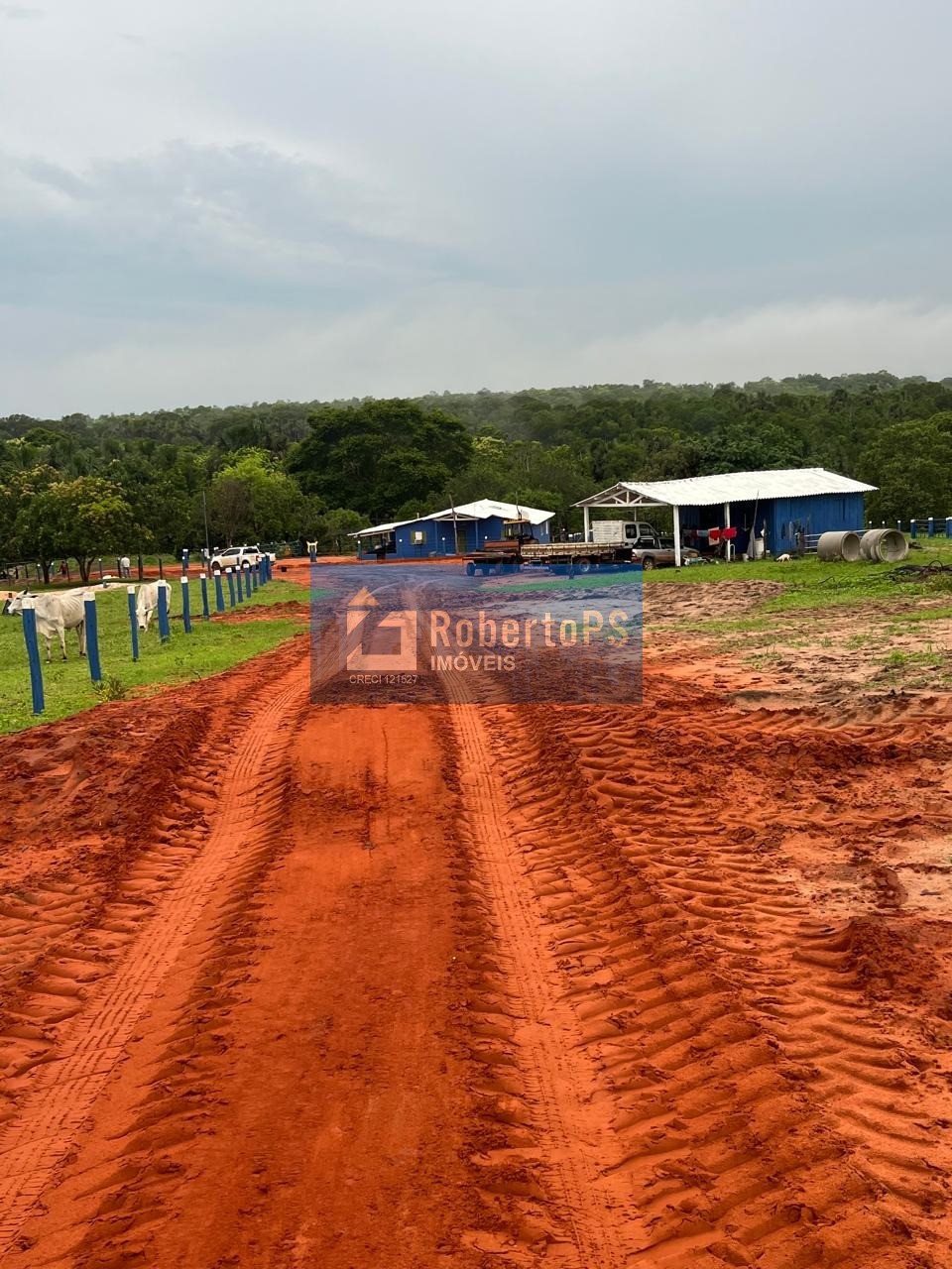 Fazenda de 1.200 hectares à venda no centro de novo são joaq