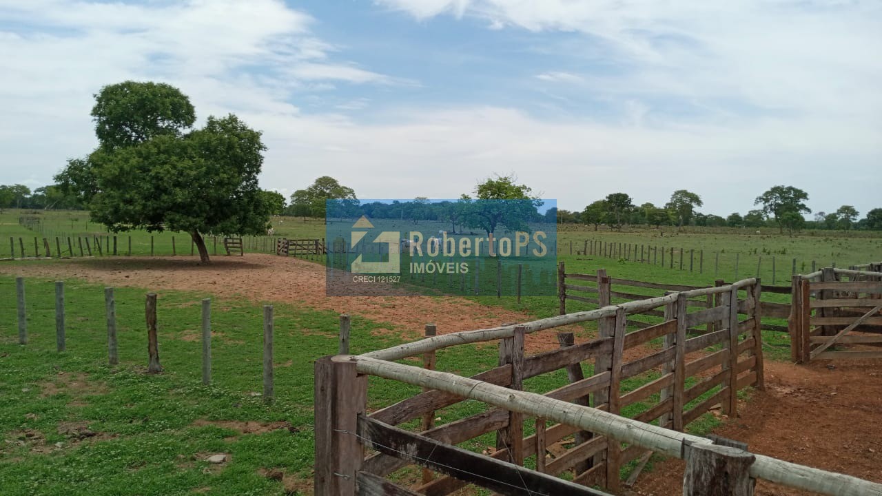 Fazenda de luxo à venda em cocalinho-mt, bairro centro: 3 qu