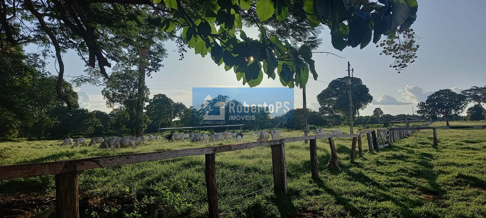 Maravilhosa fazenda à venda na região do piaba!