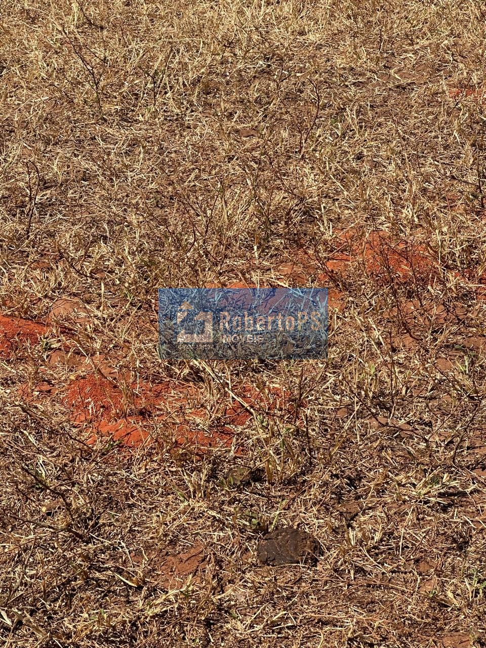 Fazenda de 1.158 hectares à venda no centro de nova lacerda-
