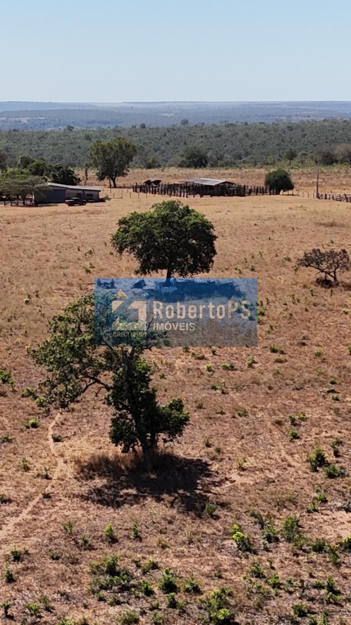Fazenda de 1.158 hectares à venda no centro de nova lacerda-