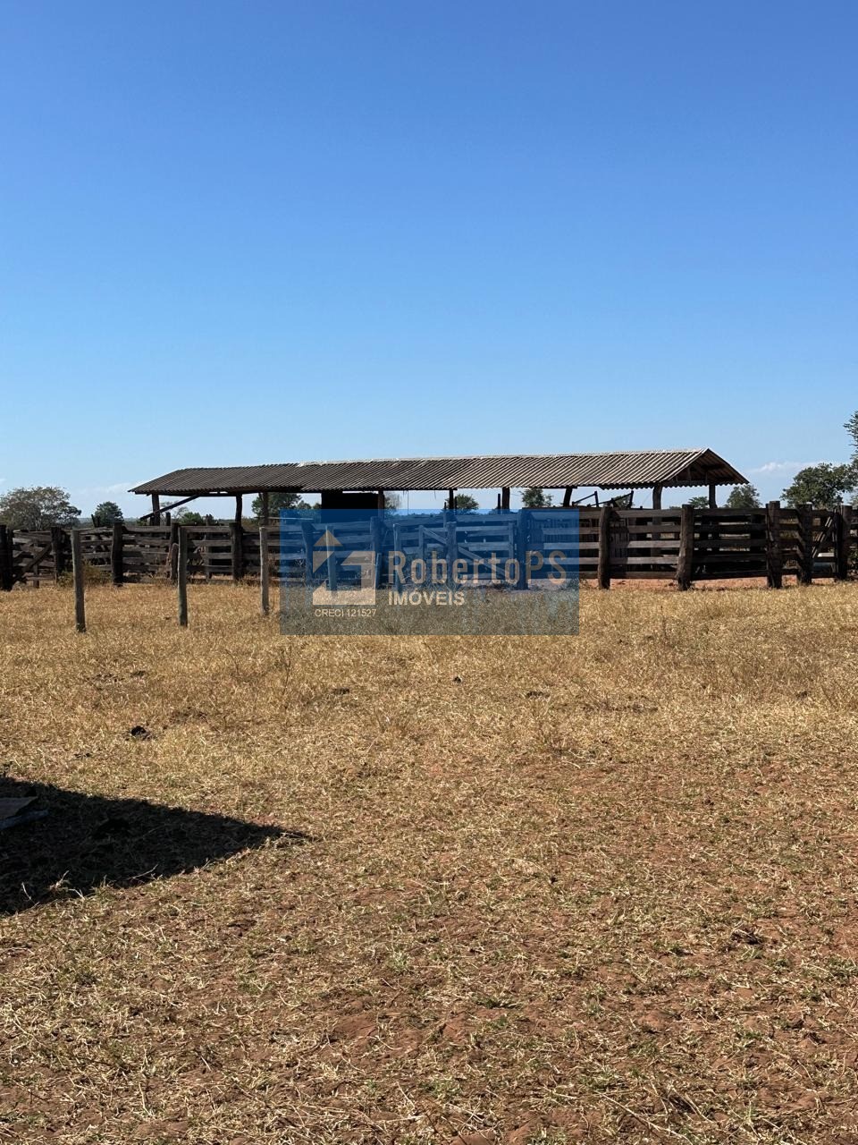 Fazenda de 1.158 hectares à venda no centro de nova lacerda-