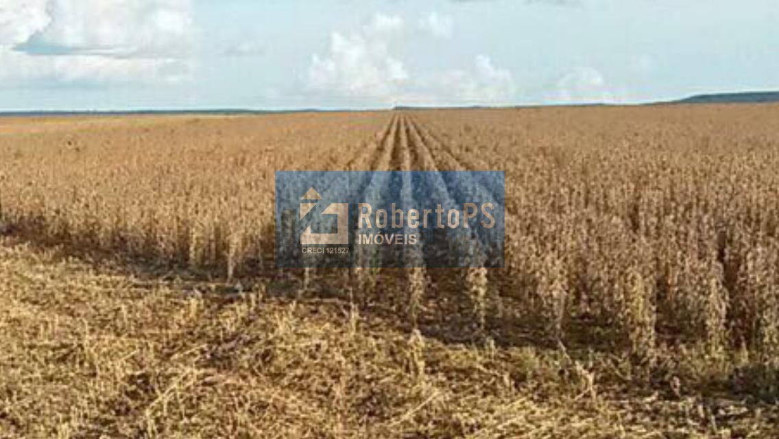 Fazenda de 8.700 hectares à venda no centro de nobres-mt: 4 