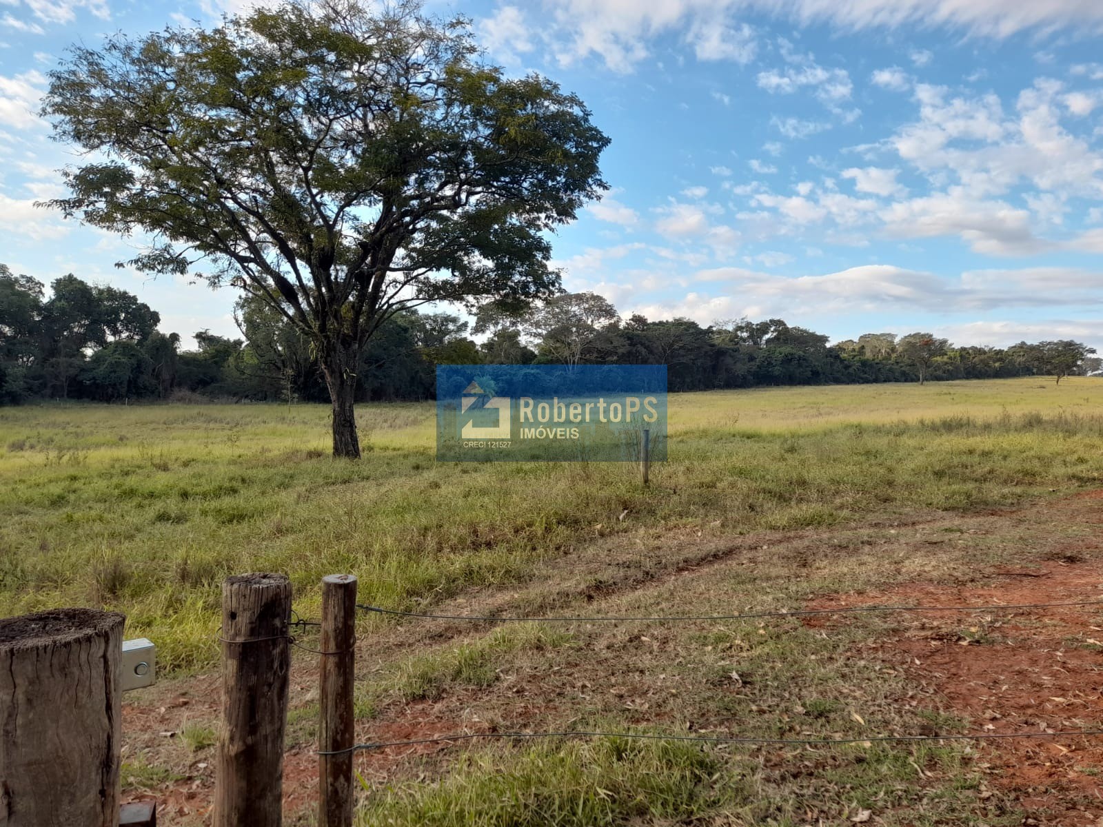 Fazenda de luxo à venda em ribeirão bonito-sp, centro: 4 qua